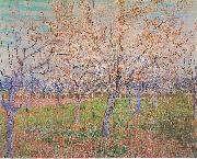 Vincent Van Gogh Orchard with flowering apricot-trees oil painting picture wholesale